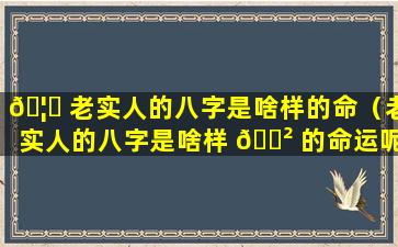 🦅 老实人的八字是啥样的命（老实人的八字是啥样 🌲 的命运呢）